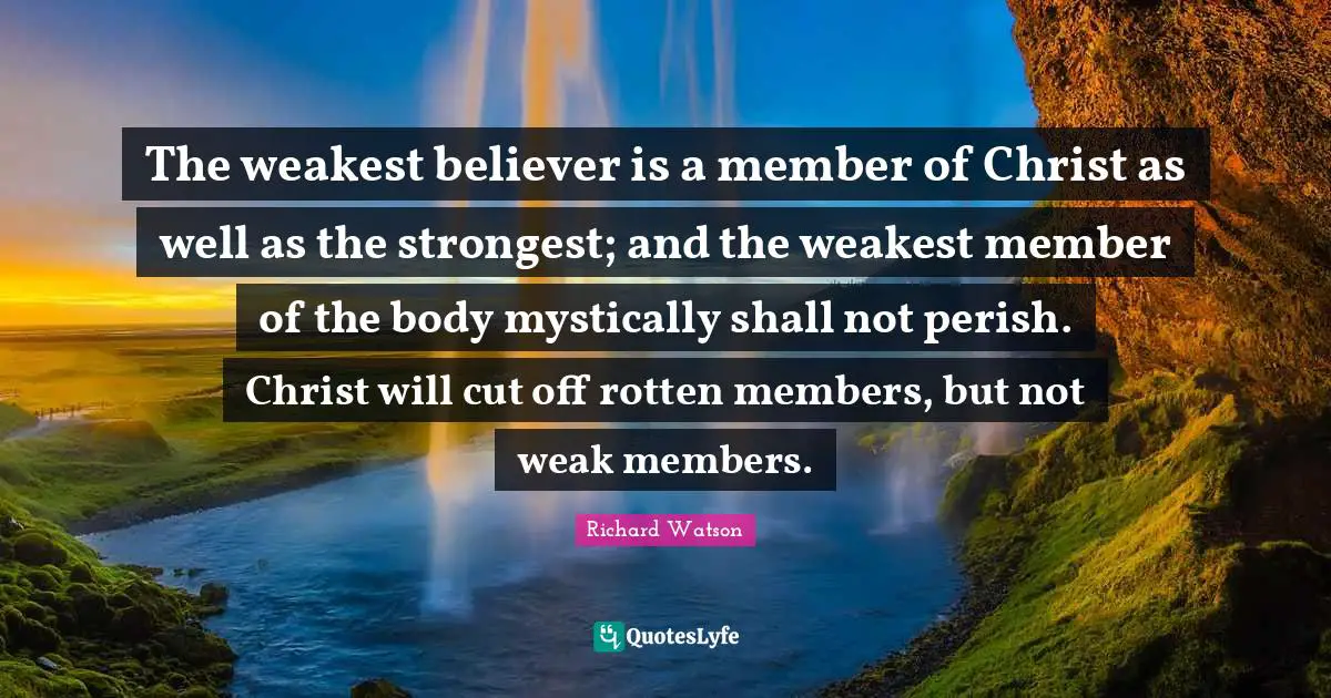 The weakest believer is a member of Christ as well as the strongest; and the weakest member of the body mystically shall not perish. Christ will cut off rotten members, but not weak members.