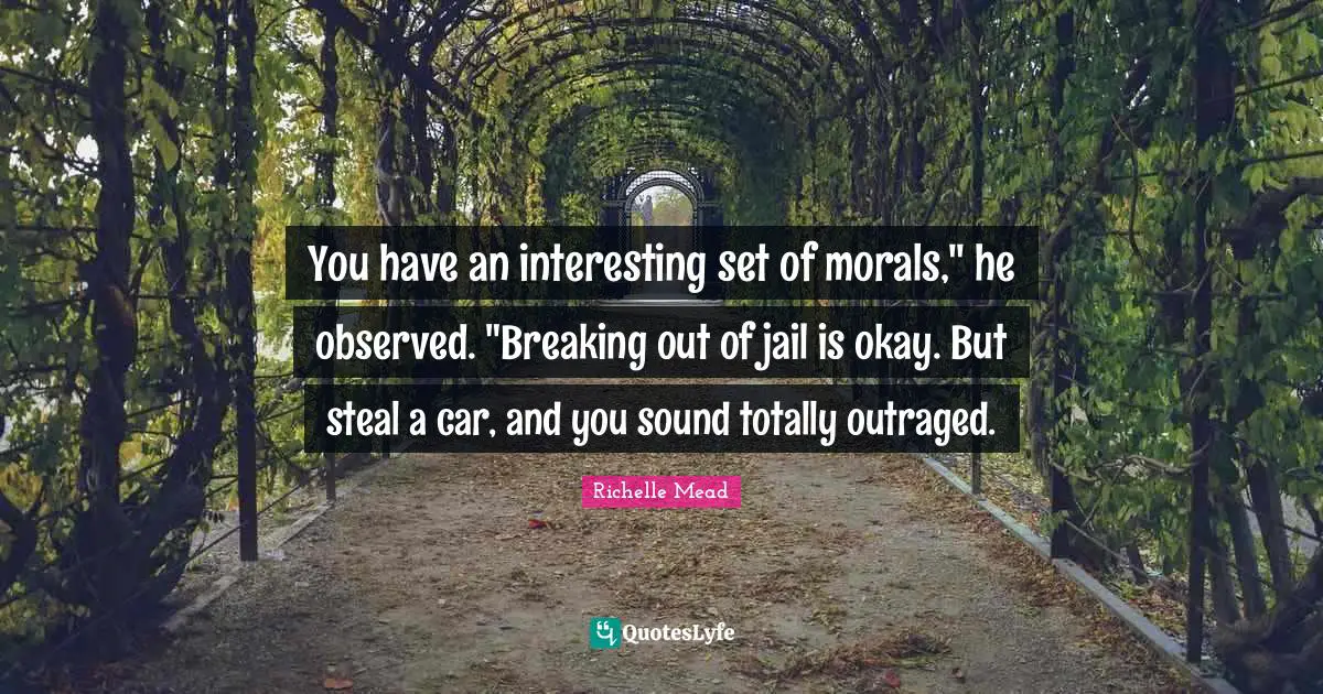 You have an interesting set of morals," he observed. "Breaking out of jail is okay. But steal a car, and you sound totally outraged.