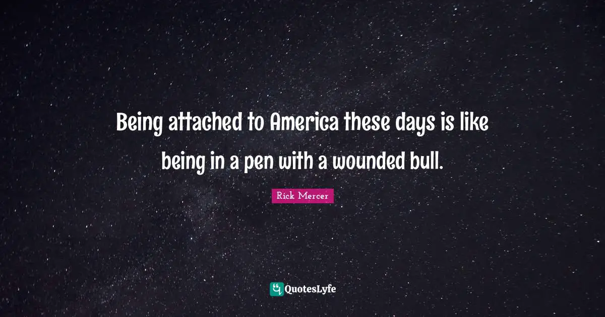 Being attached to America these days is like being in a pen with a wounded bull.