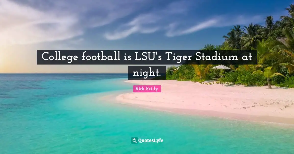 College football is LSU's Tiger Stadium at night.