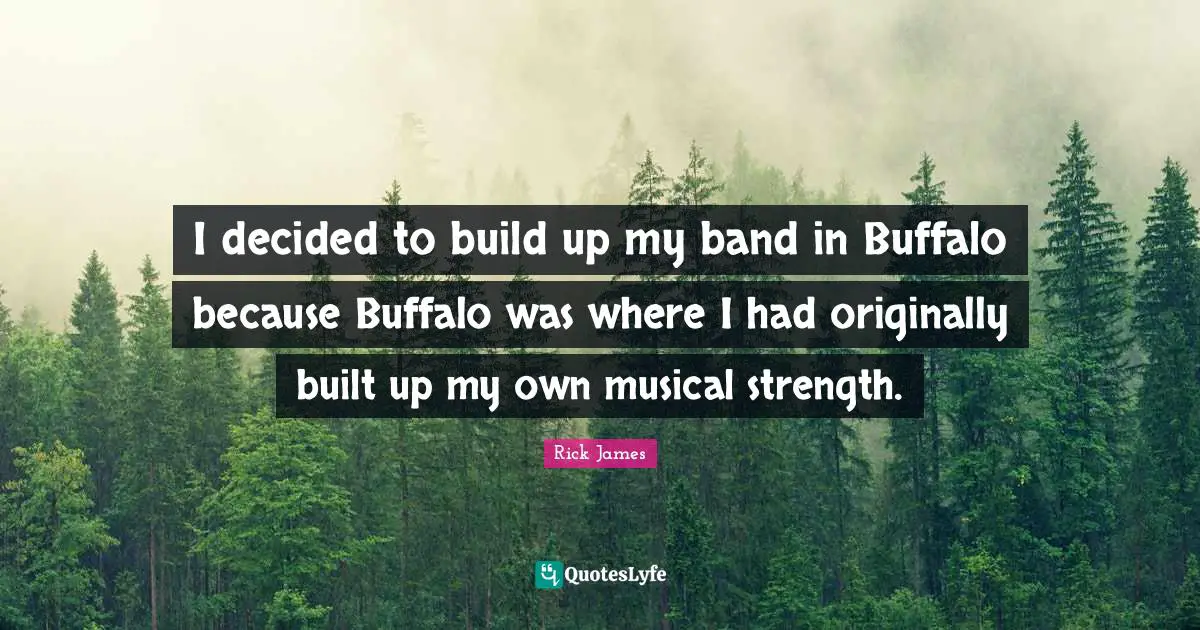 Rick James Quotes: "I decided to build up my band in Buffalo because Buffalo was where I had originally built up my own musical strength."