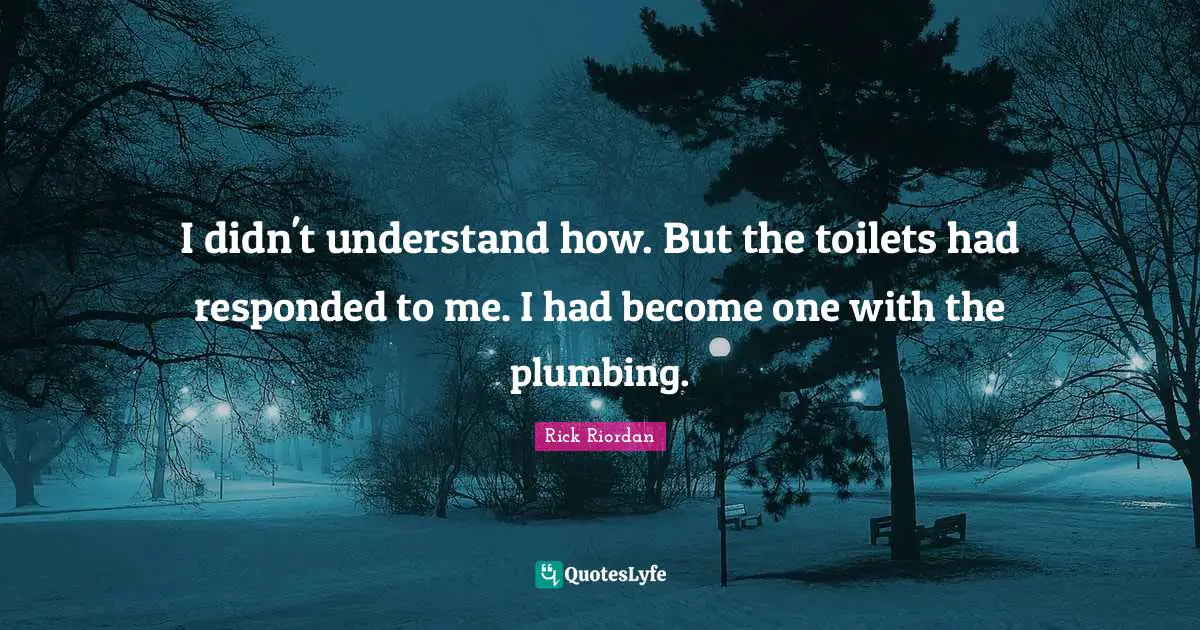 I didn't understand how. But the toilets had responded to me. I had become one with the plumbing.
