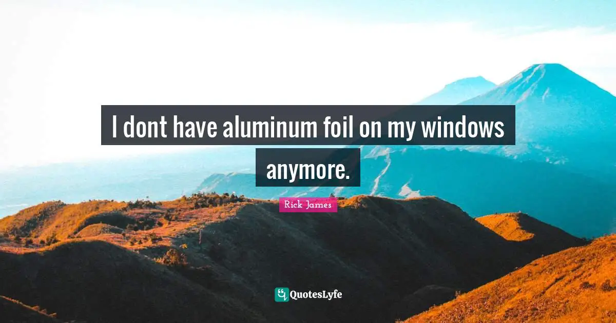 Rick James Quotes: "I dont have aluminum foil on my windows anymore."