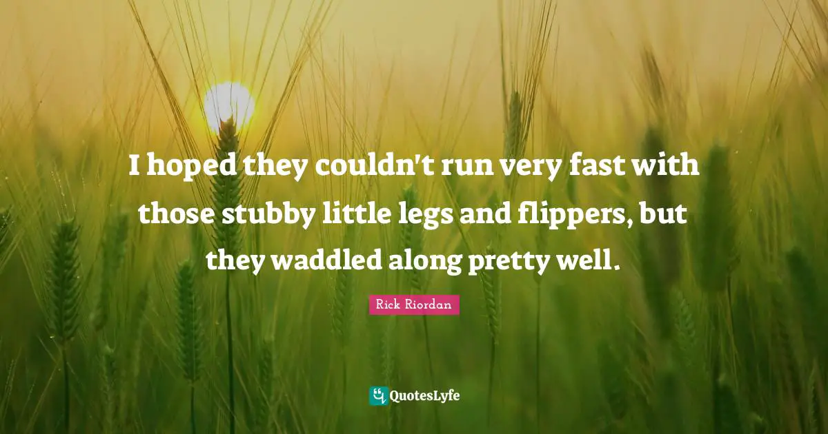 I hoped they couldn't run very fast with those stubby little legs and flippers, but they waddled along pretty well.