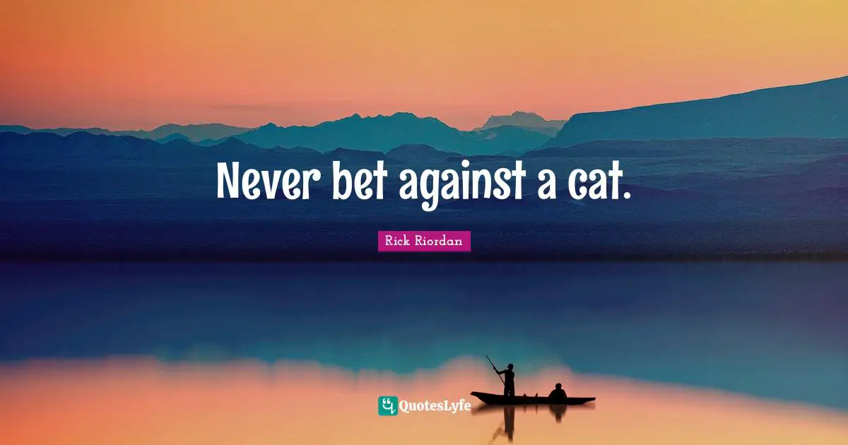 Never bet against a cat.